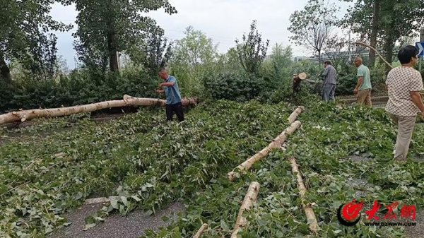 上股票配资交流 东明县交通运输局闻“风”而动 紧急排险保道路畅通